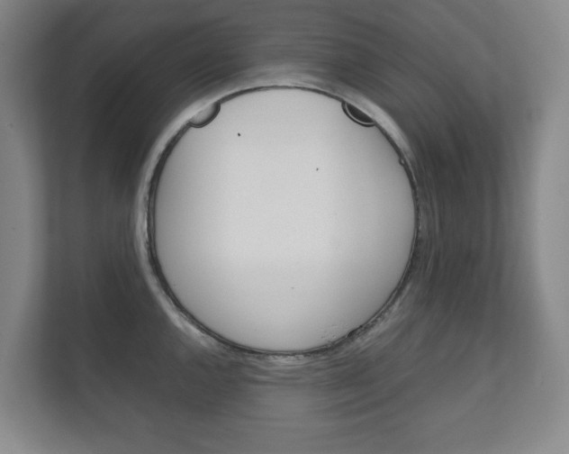X0000111811144200907231010