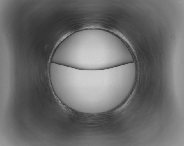 X0000111811145200907231010
