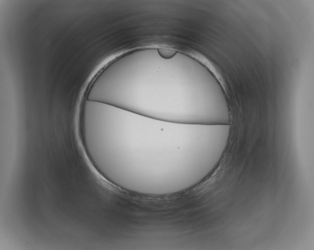 X0000111811147200907231010