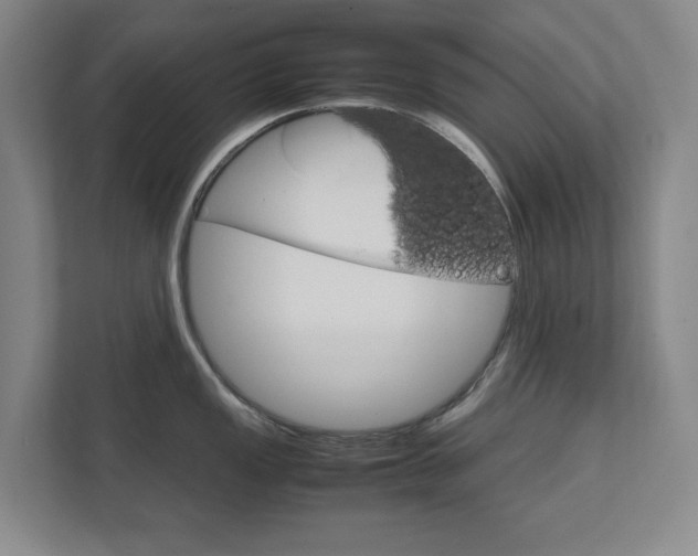X0000111811149200907231010