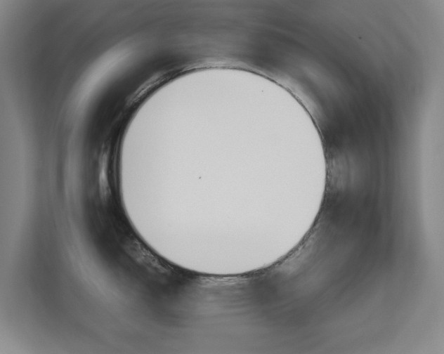 X0000111811150200907231010