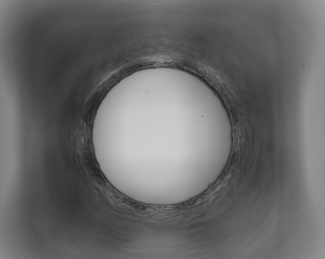 X0000111811158200907231010