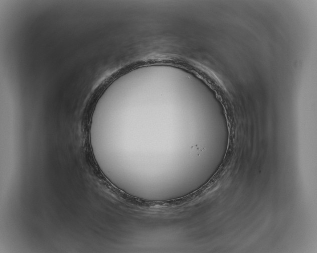 X0000111811160200907231010