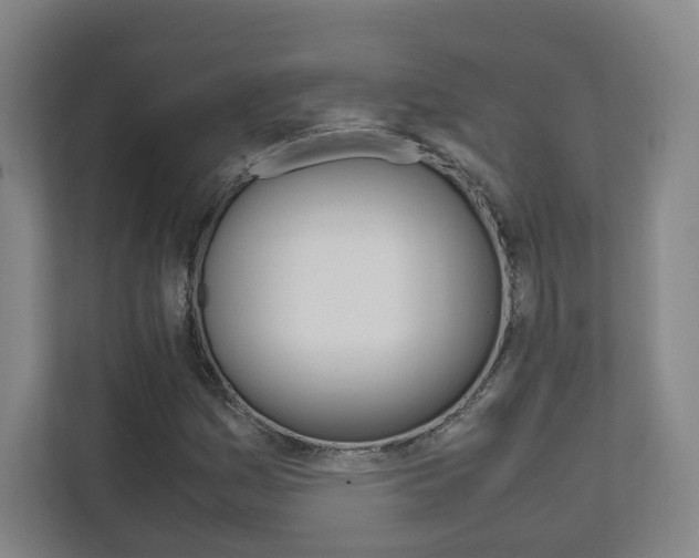X0000111811161200907231010