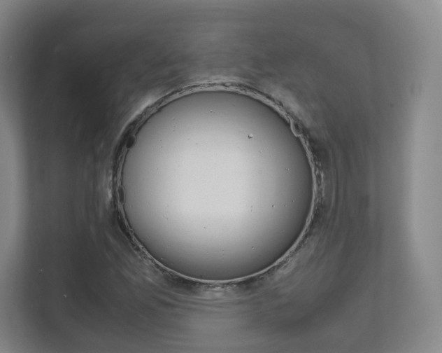 X0000111811165200907231010