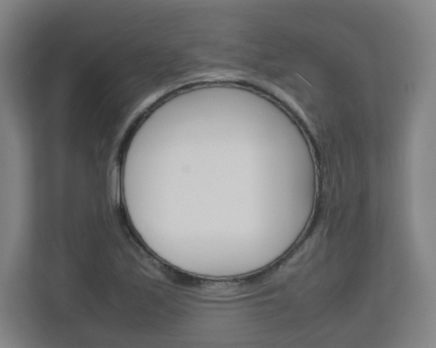 X0000111811171200907231010