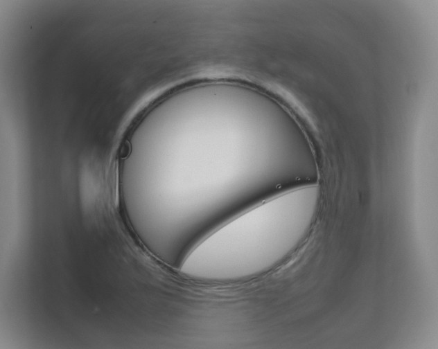 X0000111811175200907231010