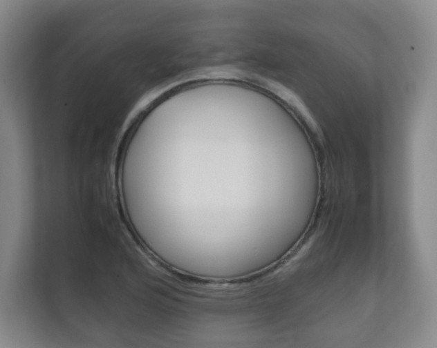 X0000111811176200907231010