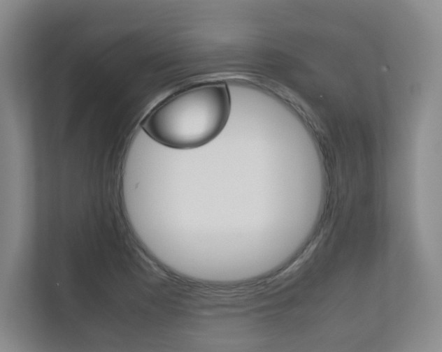X0000111811177200907231010
