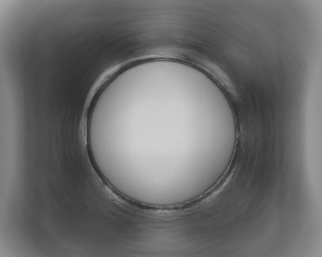X0000111811180200907231010