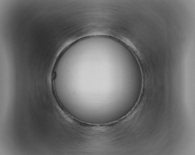 X0000111811181200907231010