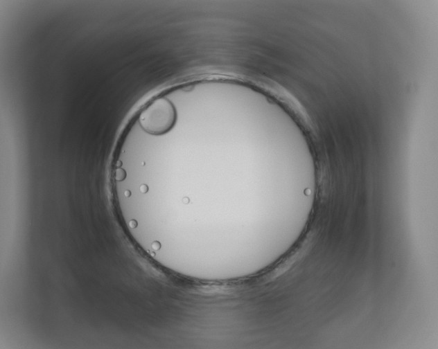 X0000111811182200907231009