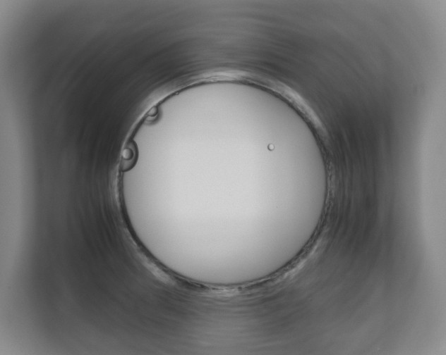 X0000111811186200907231009