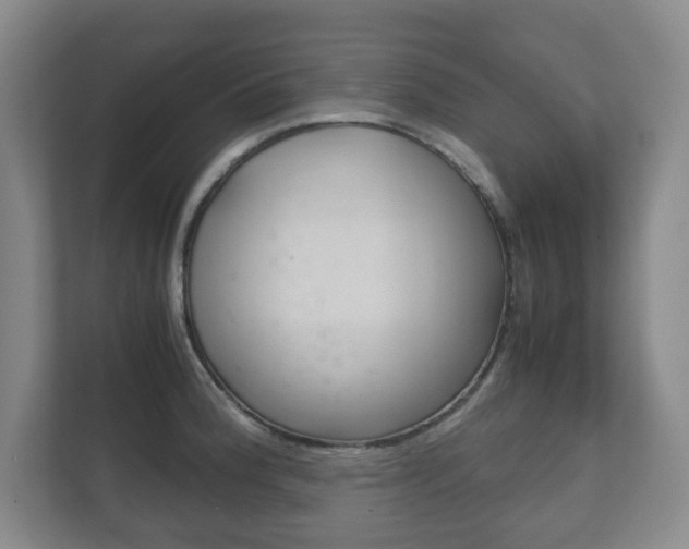 X0000111811188200907231009