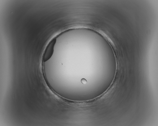 X0000111811189200907231009