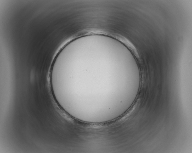 X0000111811190200907231009