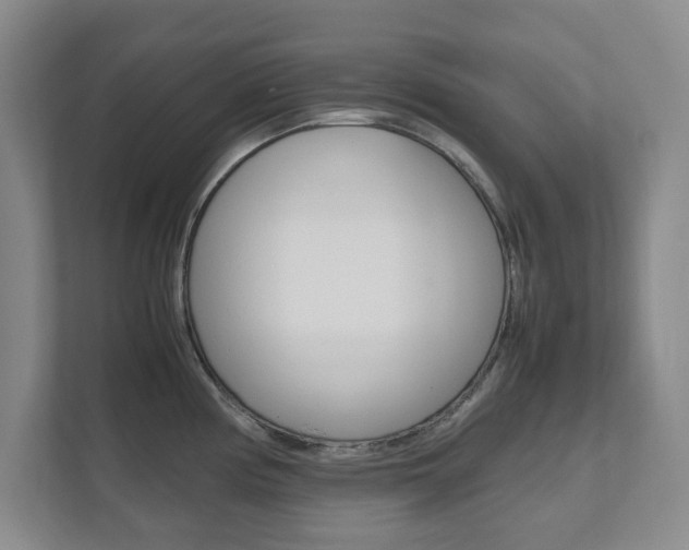 X0000111811194200907231009