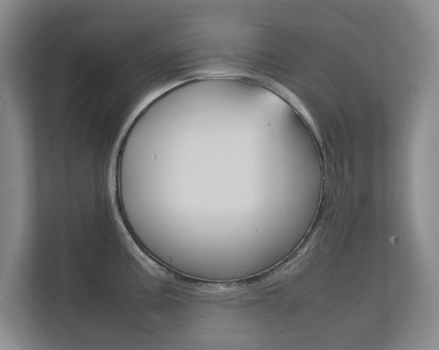 X0000111811195200907231009