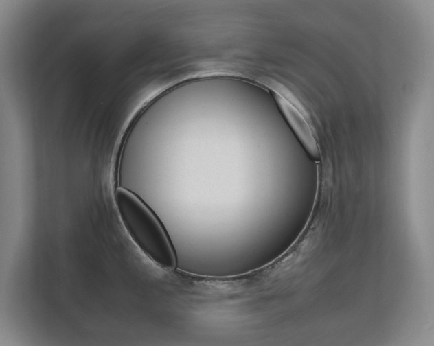 X0000111811197200907231009