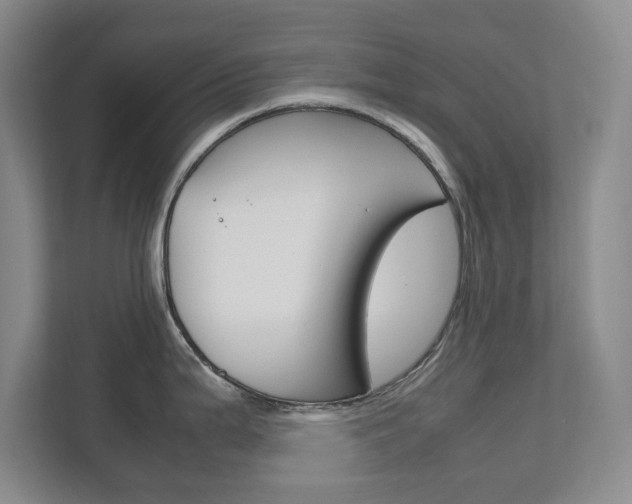 X0000111811199200907231009