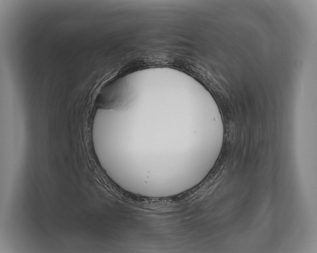 X0000111811201200907231009