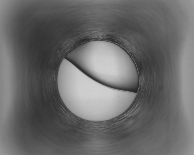 X0000111811202200907231009