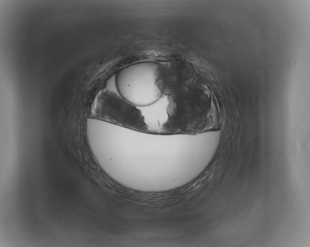 X0000111811205200907231009