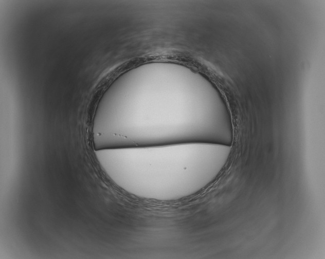 X0000111811206200907231009