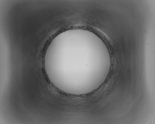 X0000111811207200907231009