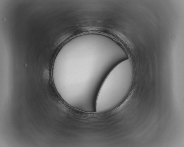 X0000111811209200907231009