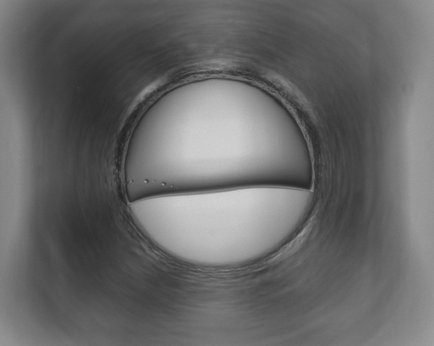 X0000111811210200907231009