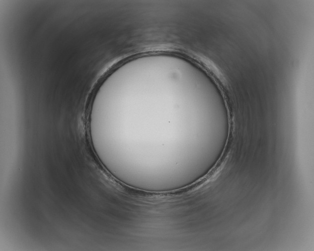 X0000111811212200907231009