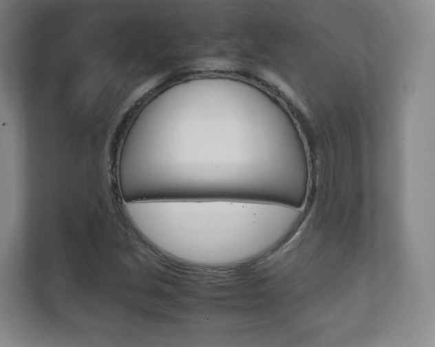 X0000111811213200907231009