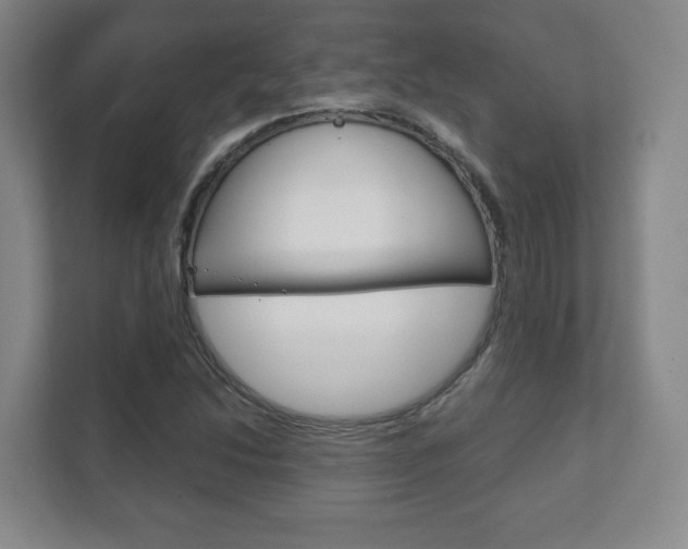 X0000111811214200907231009