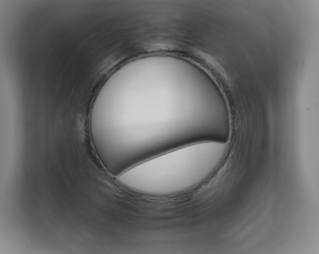 X0000111811217200907231009