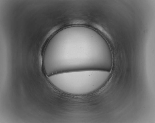 X0000111811221200907231009