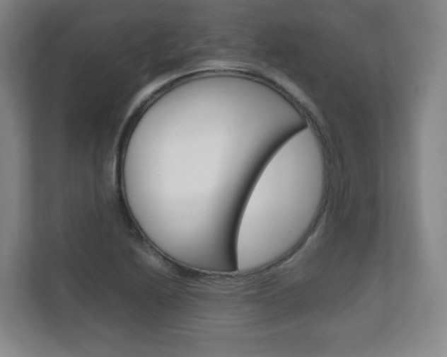 X0000111811222200907231009