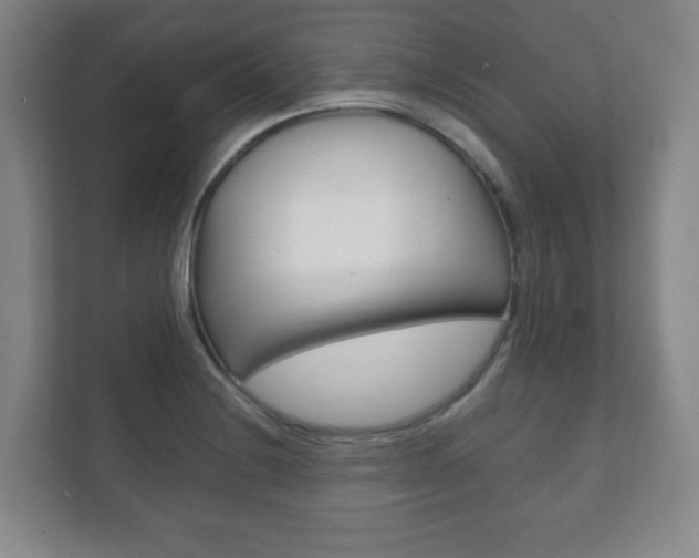 X0000111811228200907231009
