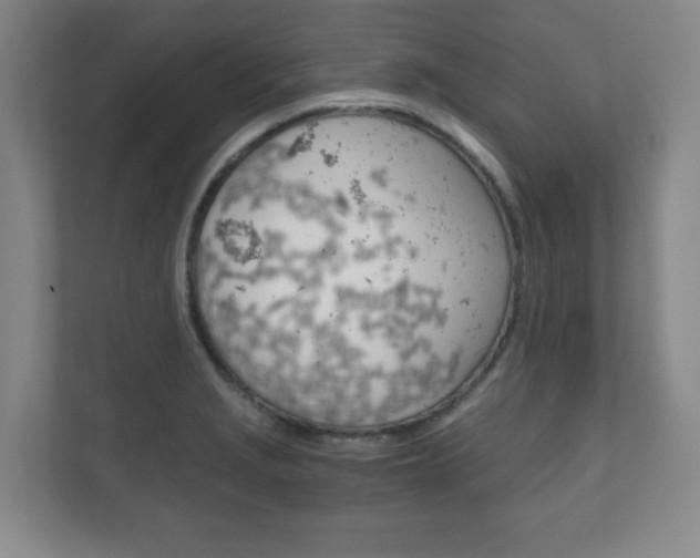 X0000111811229200907231009