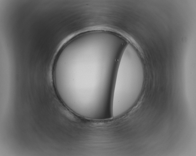 X0000111811230200907231009
