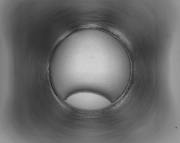 X0000111811233200907231009