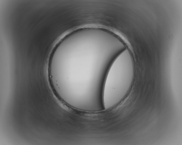 X0000111811237200907231009