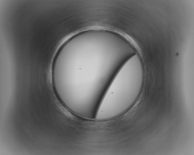 X0000111811238200907231009