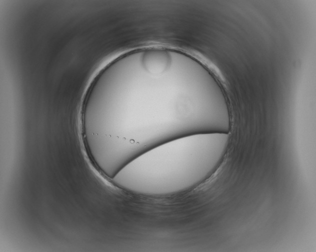 X0000111811239200907231009