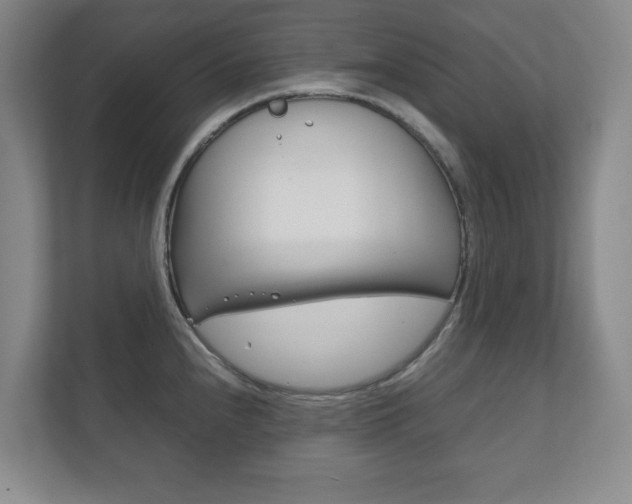 X0000111811240200907231009