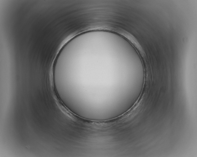 X0000111811242200907231009