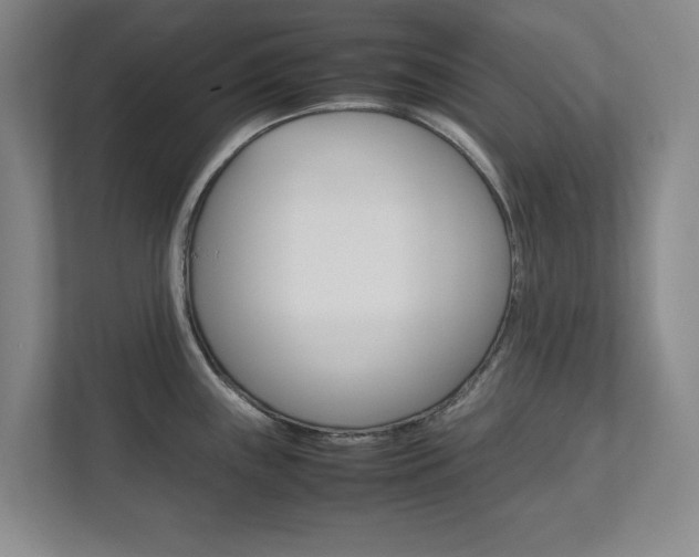 X0000111811243200907231009