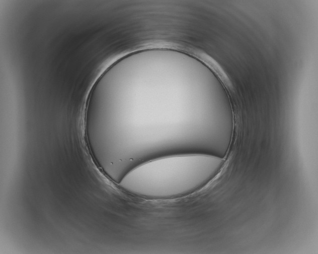 X0000111811244200907231009
