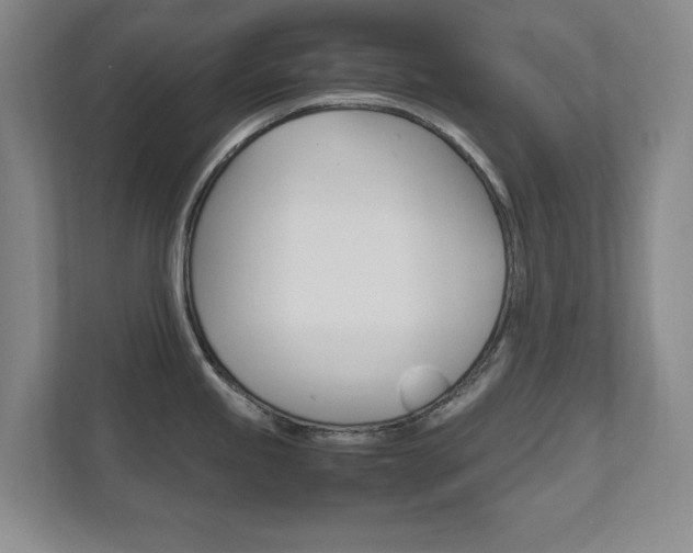 X0000111811245200907231009