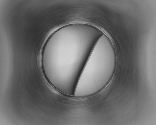 X0000111811246200907231009